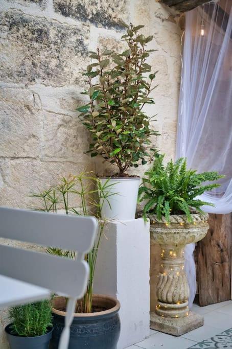 Appartement-Terrasse Centre Historique Uzes Ngoại thất bức ảnh